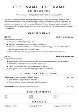 curriculum vitae Netherlands example