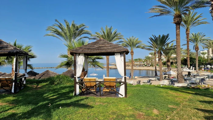 national holidays in the netherlands 2025